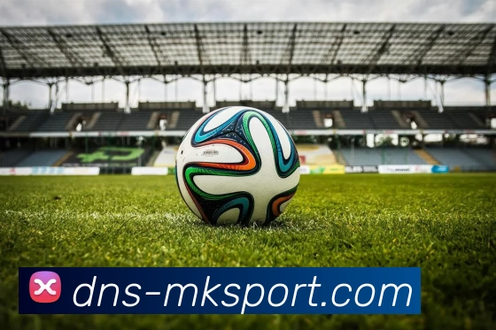 MK体育平台生态图