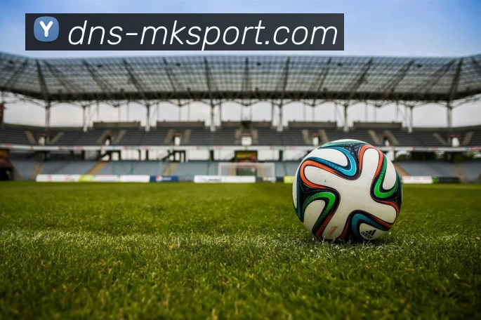 MK体育APP 封面图